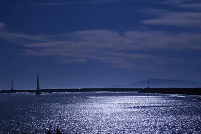 DSC_0825 (Large).JPG